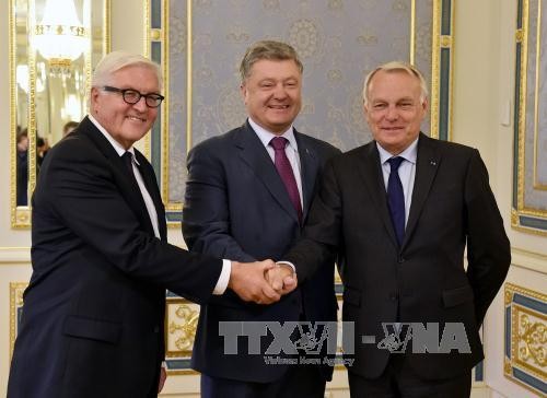 New ceasefire announced for eastern Ukraine - ảnh 1